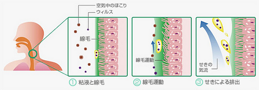 免疫力を高める塩水