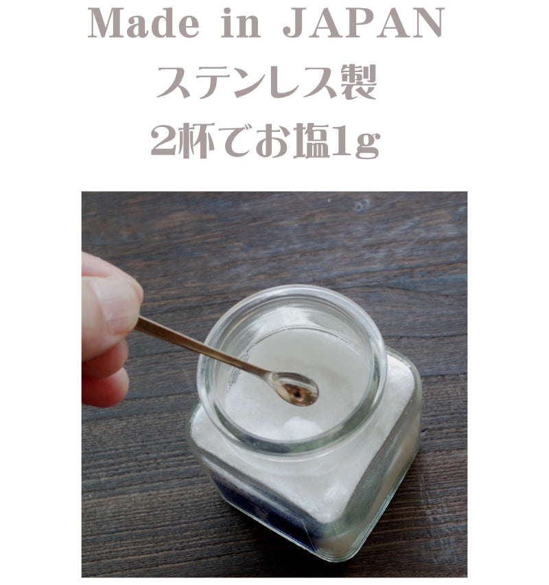 【1g計量用】 計量スプーン 1g ( 0.5g 2杯 ) 小ステンレス 塩分計 調理用 塩分チャージ ミネラル 熱中症予防 塩水