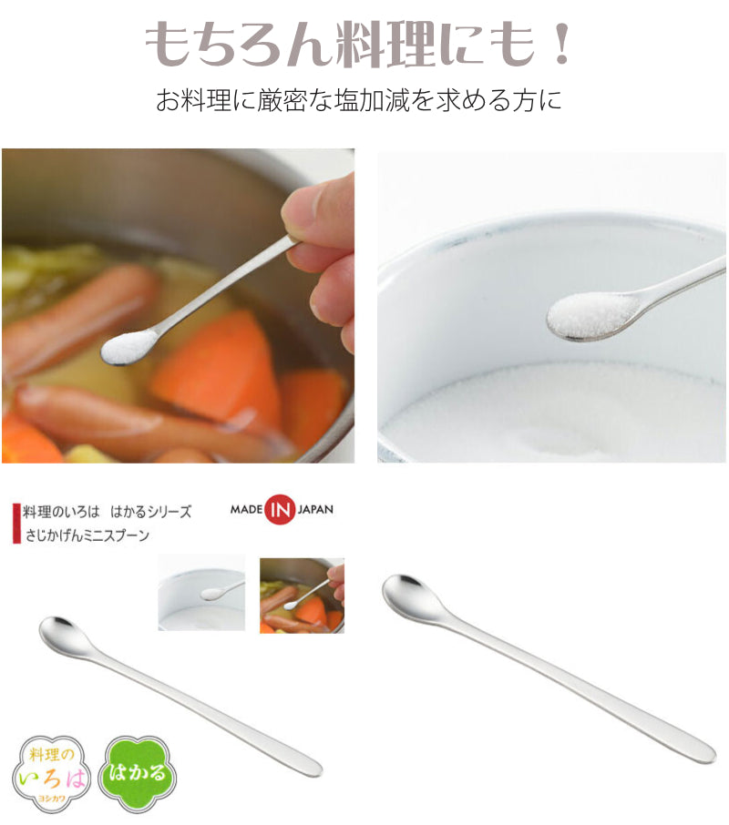 【1g計量用】 計量スプーン 1g ( 0.5g 2杯 ) 小ステンレス 塩分計 調理用 塩分チャージ ミネラル 熱中症予防 塩水