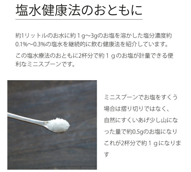 【1g計量用】 計量スプーン 1g ( 0.5g 2杯 ) 小ステンレス 塩分計 調理用 塩分チャージ ミネラル 熱中症予防 塩水