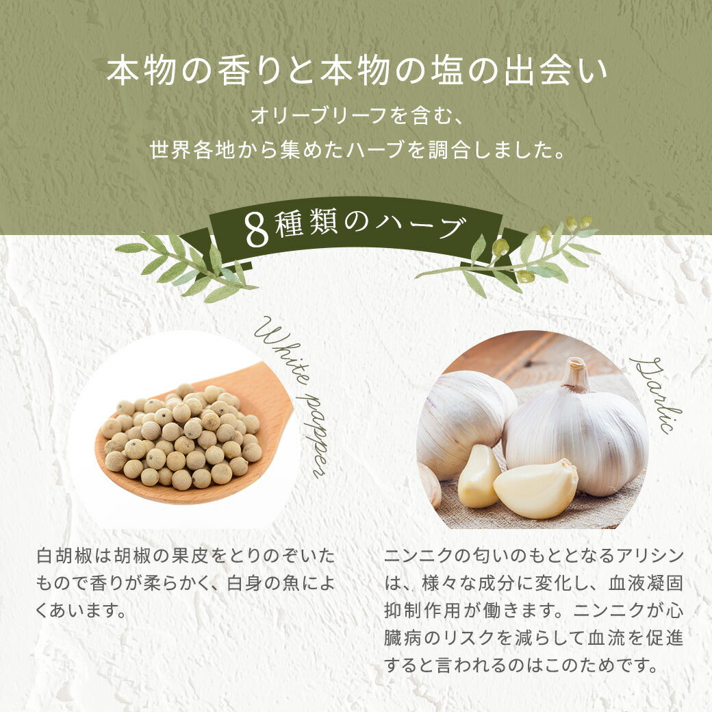 源気商会のハーブソルト 100g【メール便対応】翌営業日から1週間以内の発送