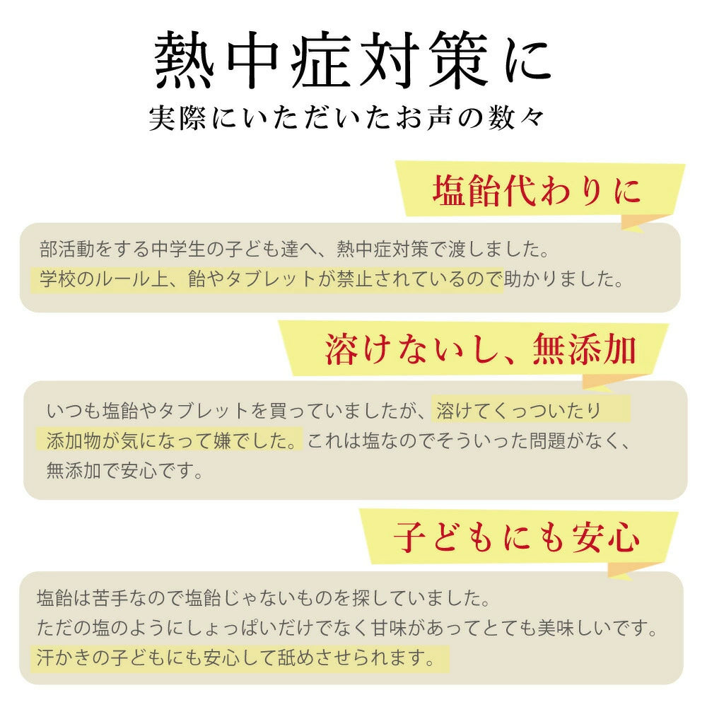 【岩塩10g入り】岩塩入 携帯用 源気商会 オリジナル ソルトケース 1個 | 熱中症対策 塩飴 無添加 携帯ケース 選べるカラー 全3色  [3]