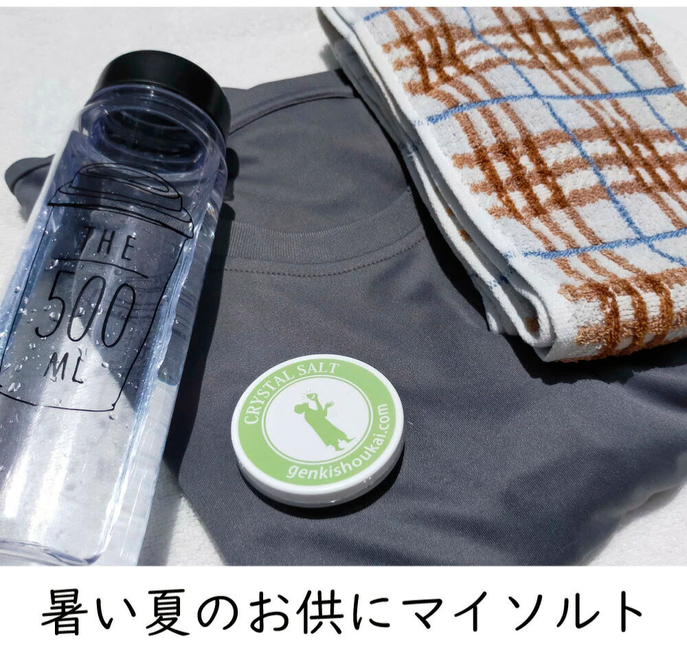 携帯ソルトケース(岩塩10g入り)3個セット【メール便送料無料】