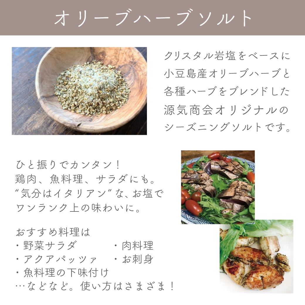 おためし 送料無料【1000円ポッキリ 送料無料】 源気商会 おためしお 岩塩 5袋セット塩 岩塩 ヒマラヤ岩塩 クリスタル岩塩 クリスタルソルト ピンク岩塩 天然塩 塩分チャージ ハーブソルト シーズニングソルト クレイジーソルト