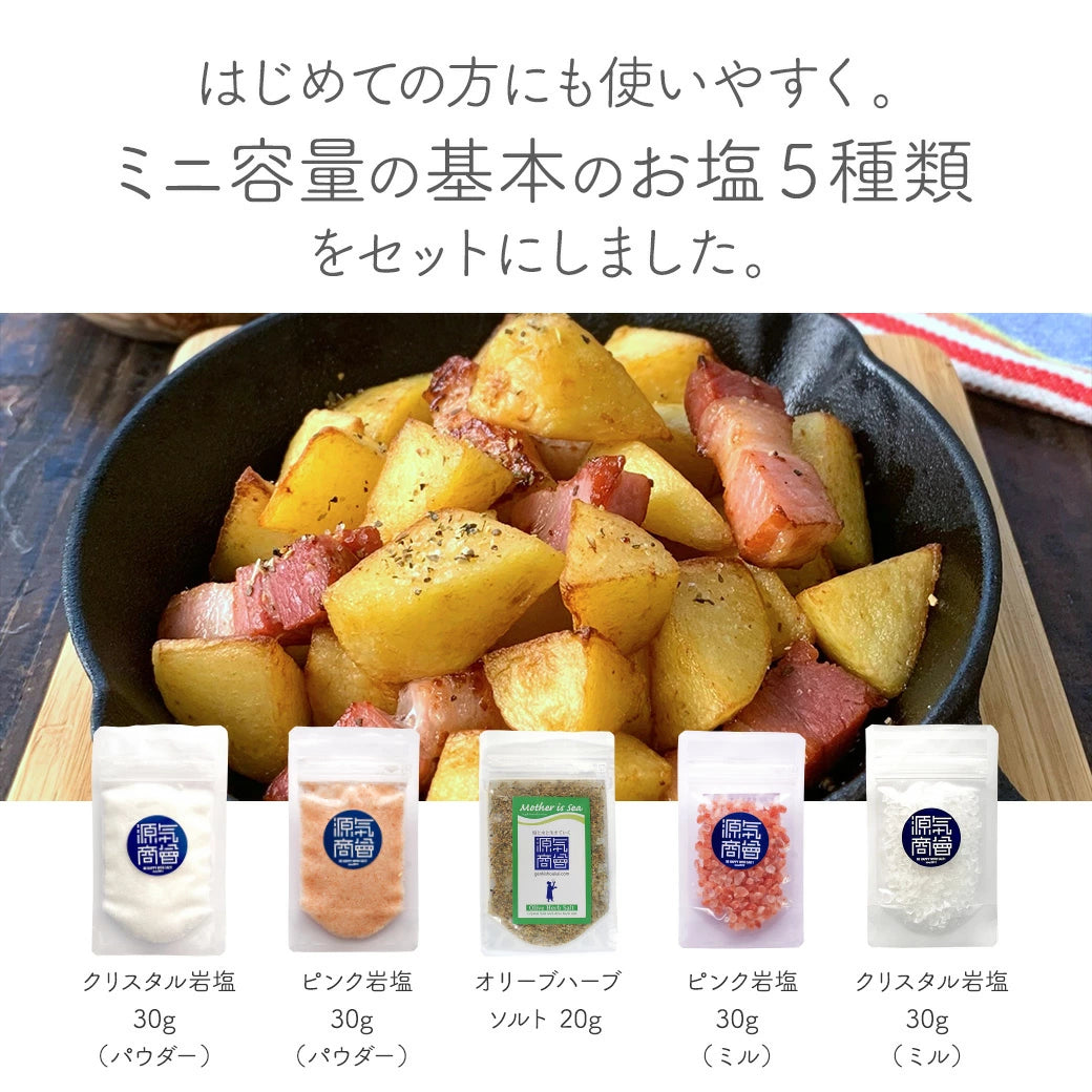 おためし 送料無料【1000円ポッキリ 送料無料】 源気商会 おためしお 岩塩 5袋セット塩 岩塩 ヒマラヤ岩塩 クリスタル岩塩 クリスタルソルト 天然塩 塩分チャージ
