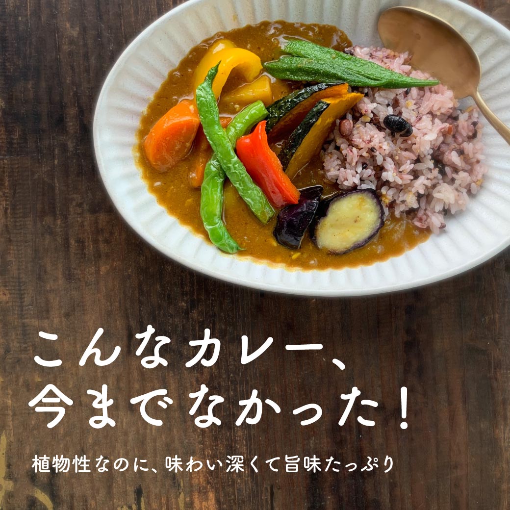 植物性カレールー ベジテ 4個セット【メール便送料無料】