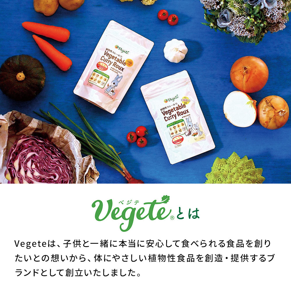 植物性カレールー ベジテ 4個セット【メール便送料無料】