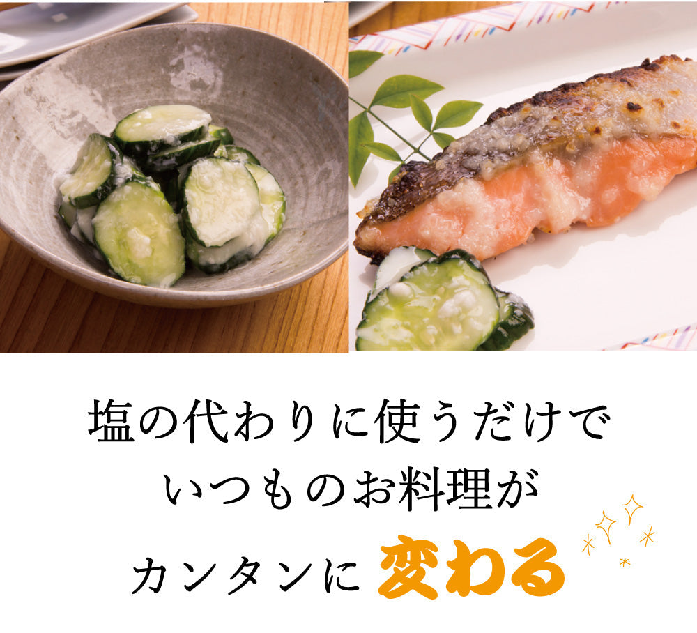 源気商会の塩糀 600g (300g×2個セット)【メール便送料無料】翌営業日から1週間以内の発送