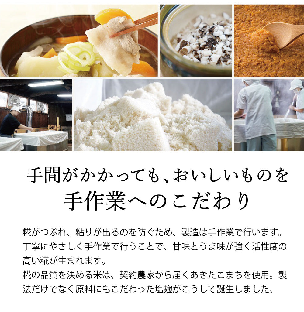 無添加 塩麹 源気商会 塩糀 300g クリスタル岩塩 使用 調味料 国産米 塩こうじ 腸活 手作り 発酵食品 パウチ 発酵食品