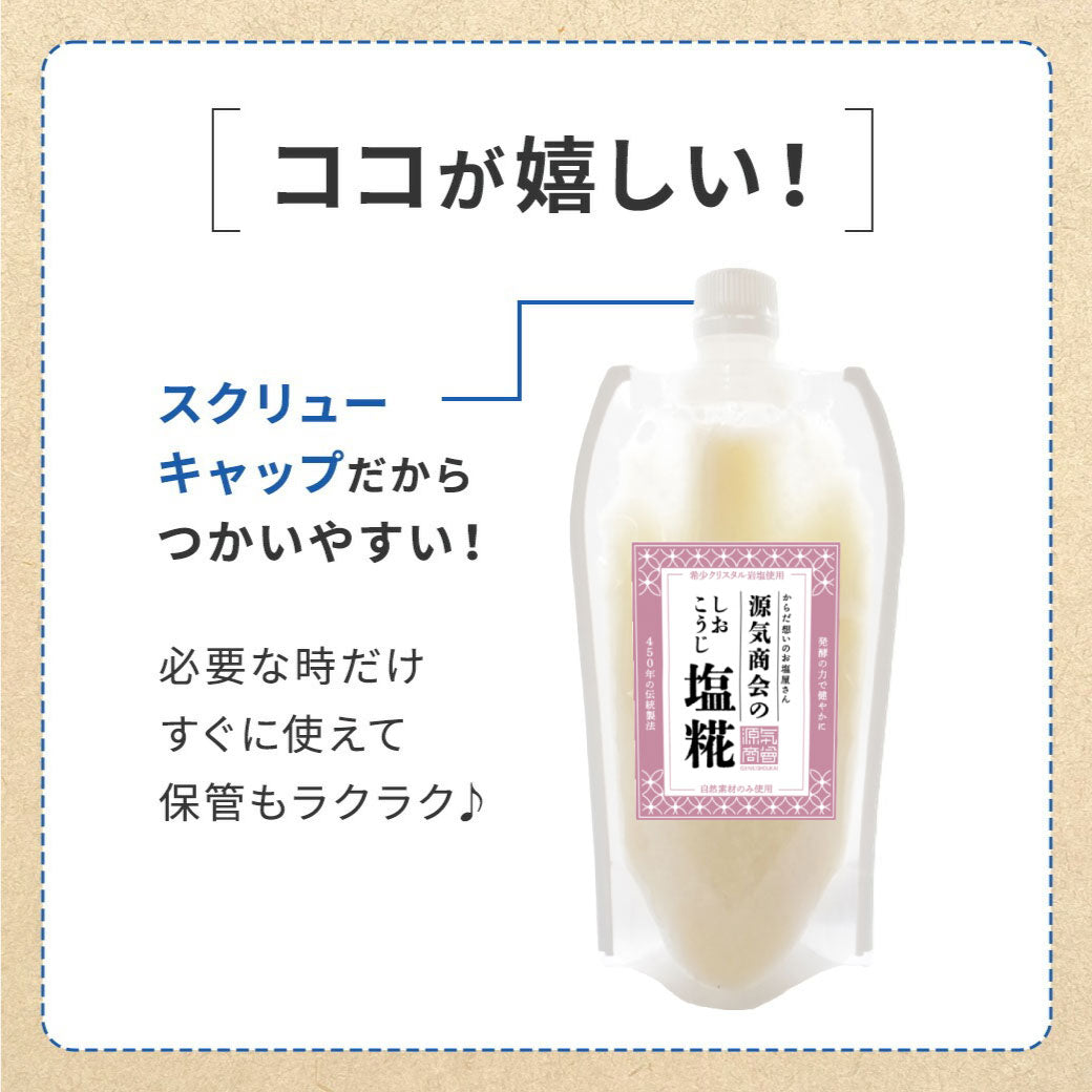 源気商会の塩糀 600g (300g×2個セット)【メール便送料無料】翌営業日から1週間以内の発送