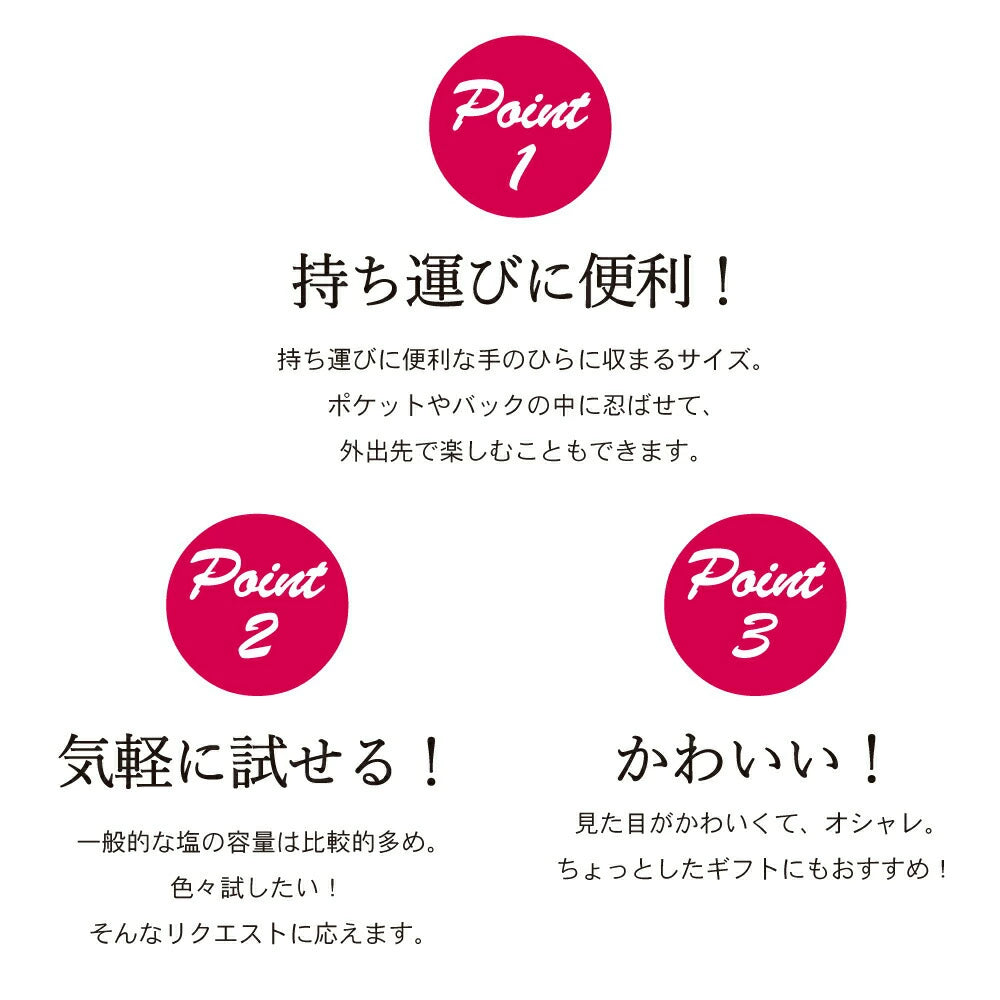 てんぷら・フライをおいしく食べる塩 5g