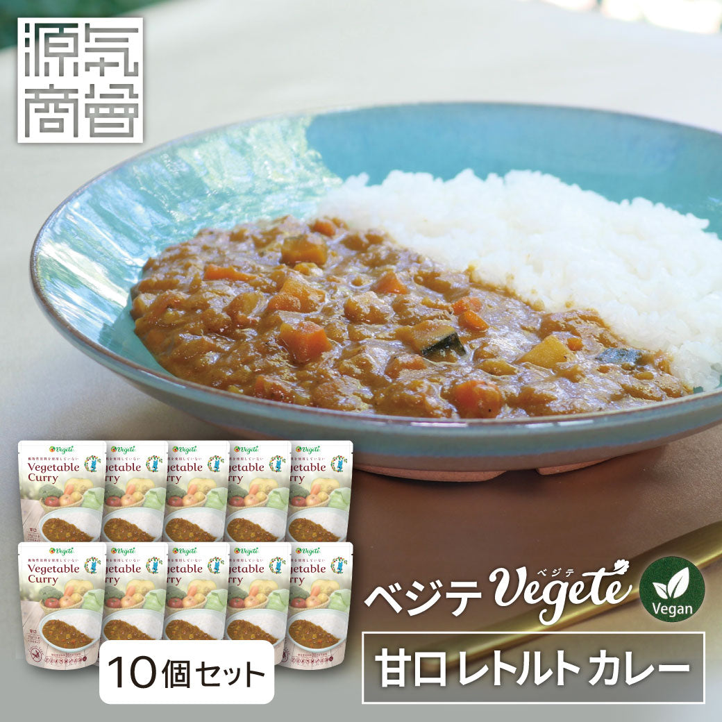 ベジテ 野菜カレールー 10個セット