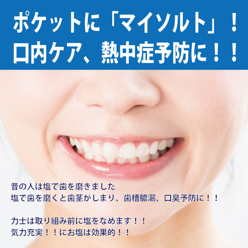 【岩塩10g入り】岩塩入 携帯用 源気商会 オリジナル ソルトケース 1個 | 熱中症対策 塩飴 無添加 携帯ケース 選べるカラー 全3色  [3]