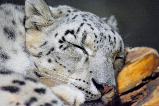 眠れない夜に、塩と水で整える睡眠習慣