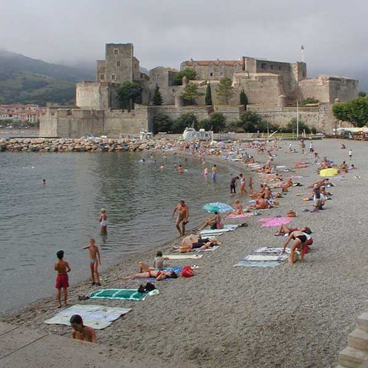 塩がもたらした奇跡：中世ヨーロッパのペストを乗り越えたコリウール村の物語