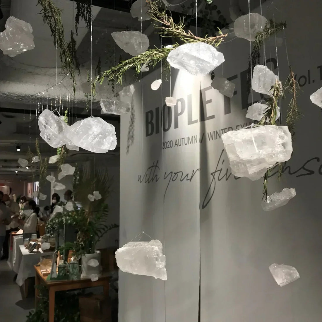 クリスタルソルト特別展示