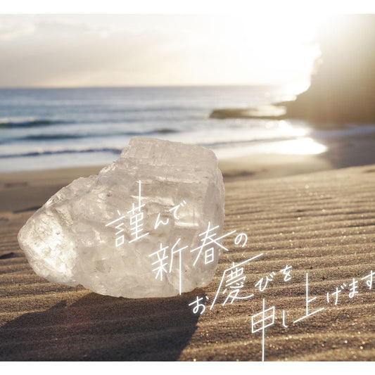 2026年、頑張れない時にも・・寄り添いあって！