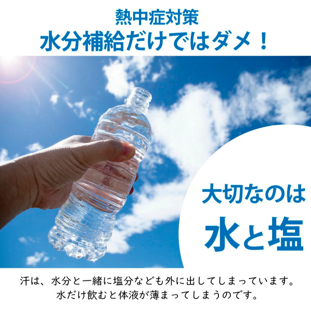 携帯ソルトケース（岩塩10g入り） – 【塩と水で健康になるお店】源気商会